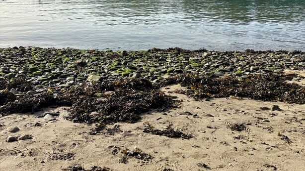Una playa con barcos, una orilla arenosa y una colina con casas al fondo.