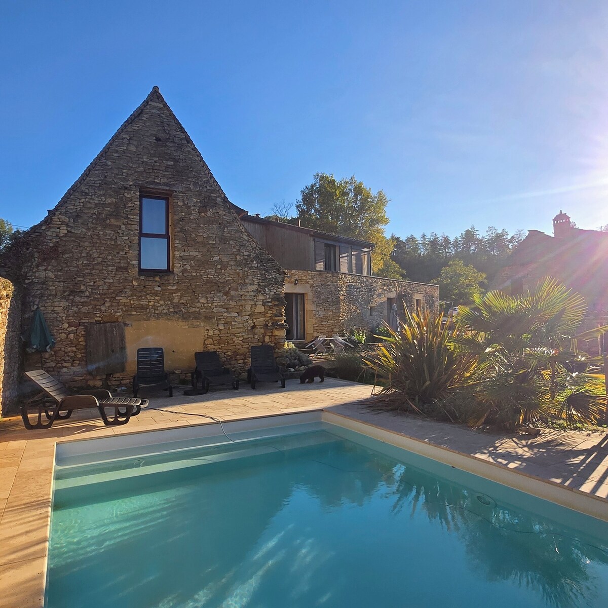 Imagen de perfil del propietario o de la propietaria