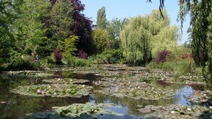 Terrain de l’hébergement 
