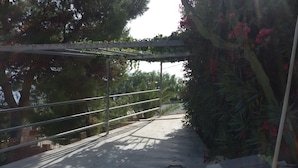 Un chemin en béton bordé de rampes métalliques, entouré de verdure et de plantes en fleurs.