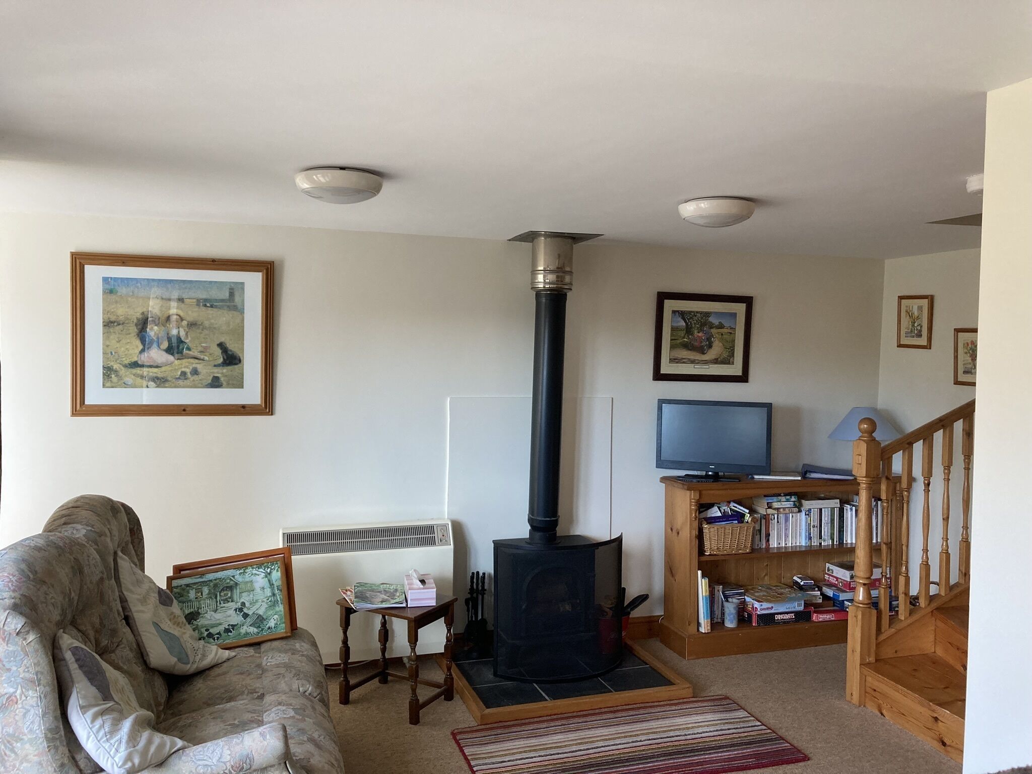 TV, fireplace, DVD player, books