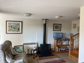 Télévision, cheminée, lecteur de DVD, livres