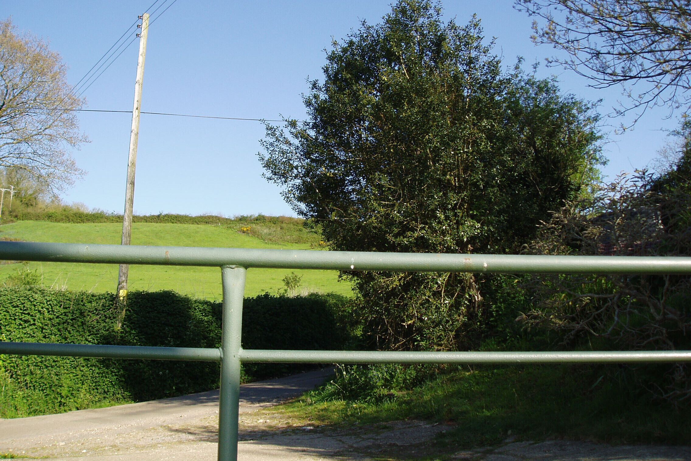 A rural road with a metal fence and greenery.