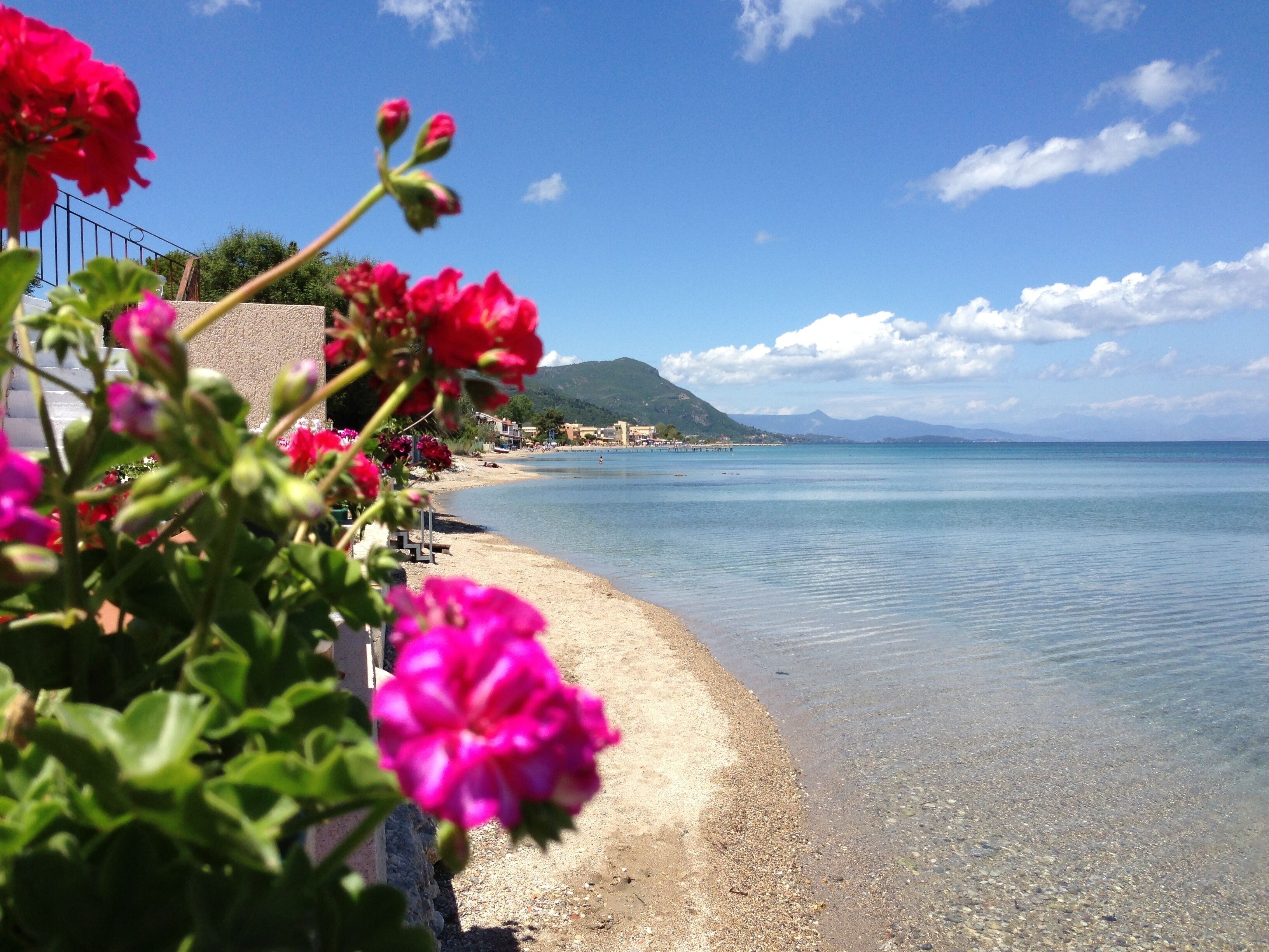 Plage à proximité, chaises longues, serviettes de plage