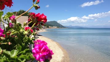 Beach nearby, sun loungers, beach towels