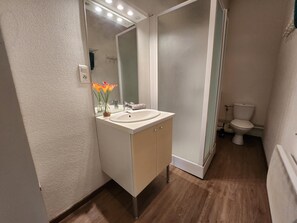 Shower, hair dryer, toilet paper