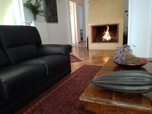 TV, fireplace, DVD player, books