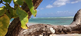 Luksuriøs Villa victoria 5 ***** ideelt beliggende i St Francois