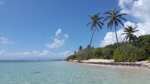 Plage à proximité, chaises longues, serviettes de plage