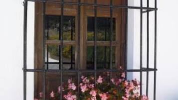 Detalle del exterior