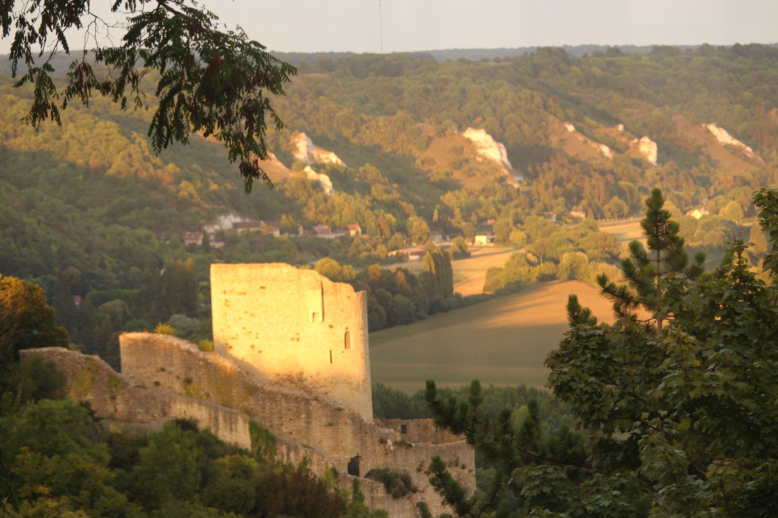 Donjon vu de la maison

