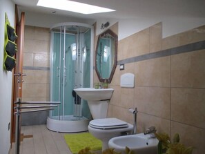 Shower, hair dryer, bidet, towels