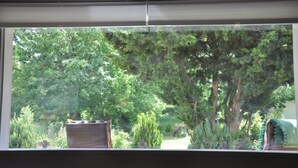 A view through a window with a wicker chair in the foreground, a small potted plant, and dense greenery outside.