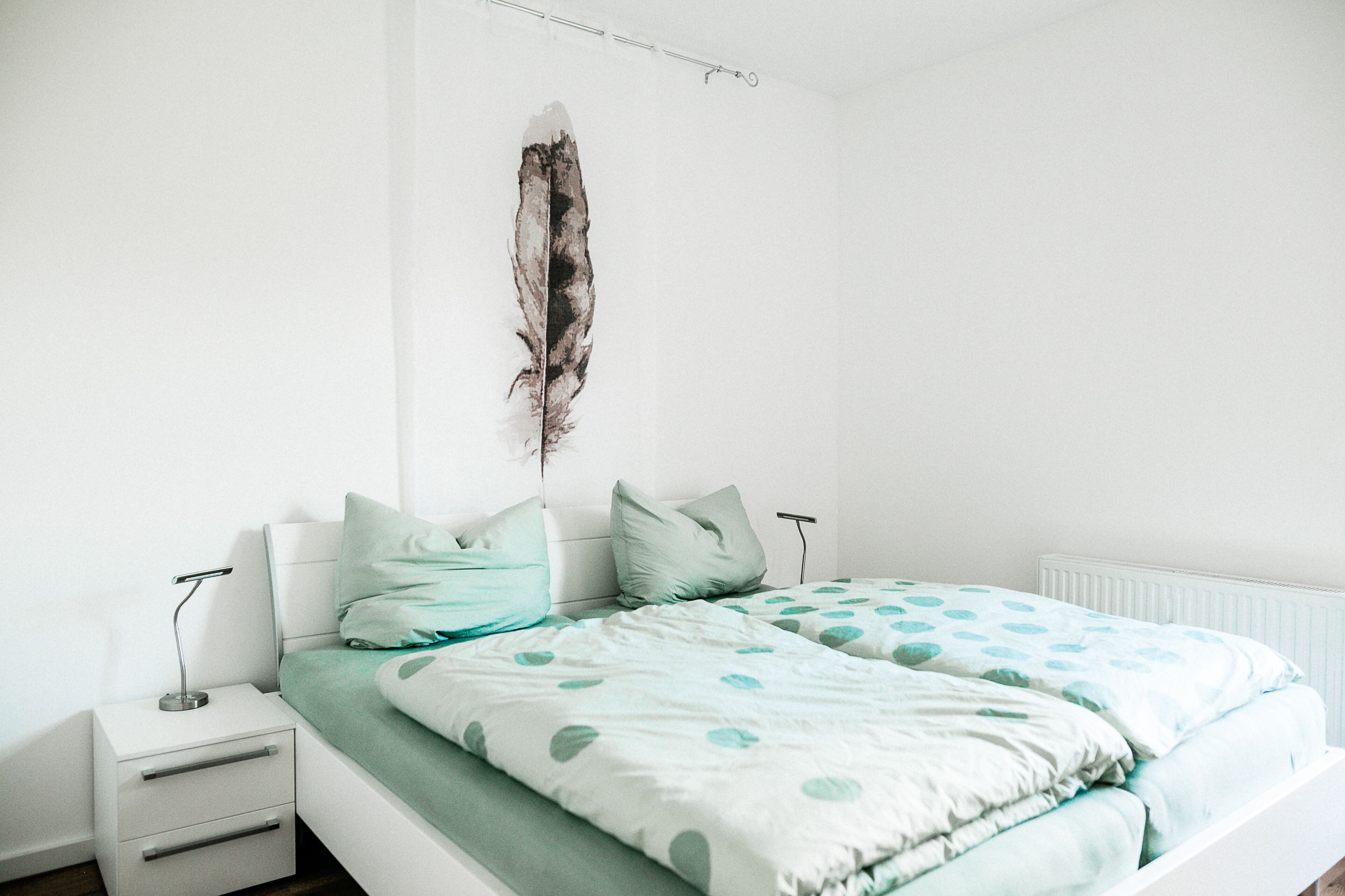 Een slaapkamer met een bed, kussens, een nachtkastje en een veerdcoratie aan de muur.