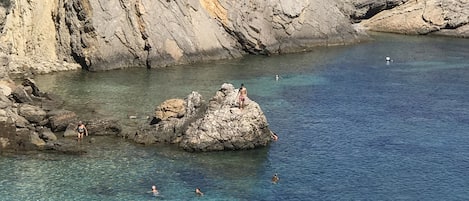 بالقرب من الشاطئ