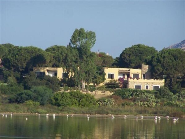 Exterior - Unique location, huge beach / sea just opposite, nature reserve (Villasimius)