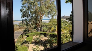 Vista desde una ventana con jardín, un gran árbol, un camino y una playa al fondo.