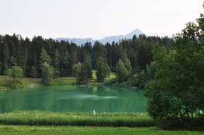 A serene lake surrounded by dense forest and mountains. - Idyllic traffic-free apartment for hiking, skiing, cycling with EV charging station (Rodels)