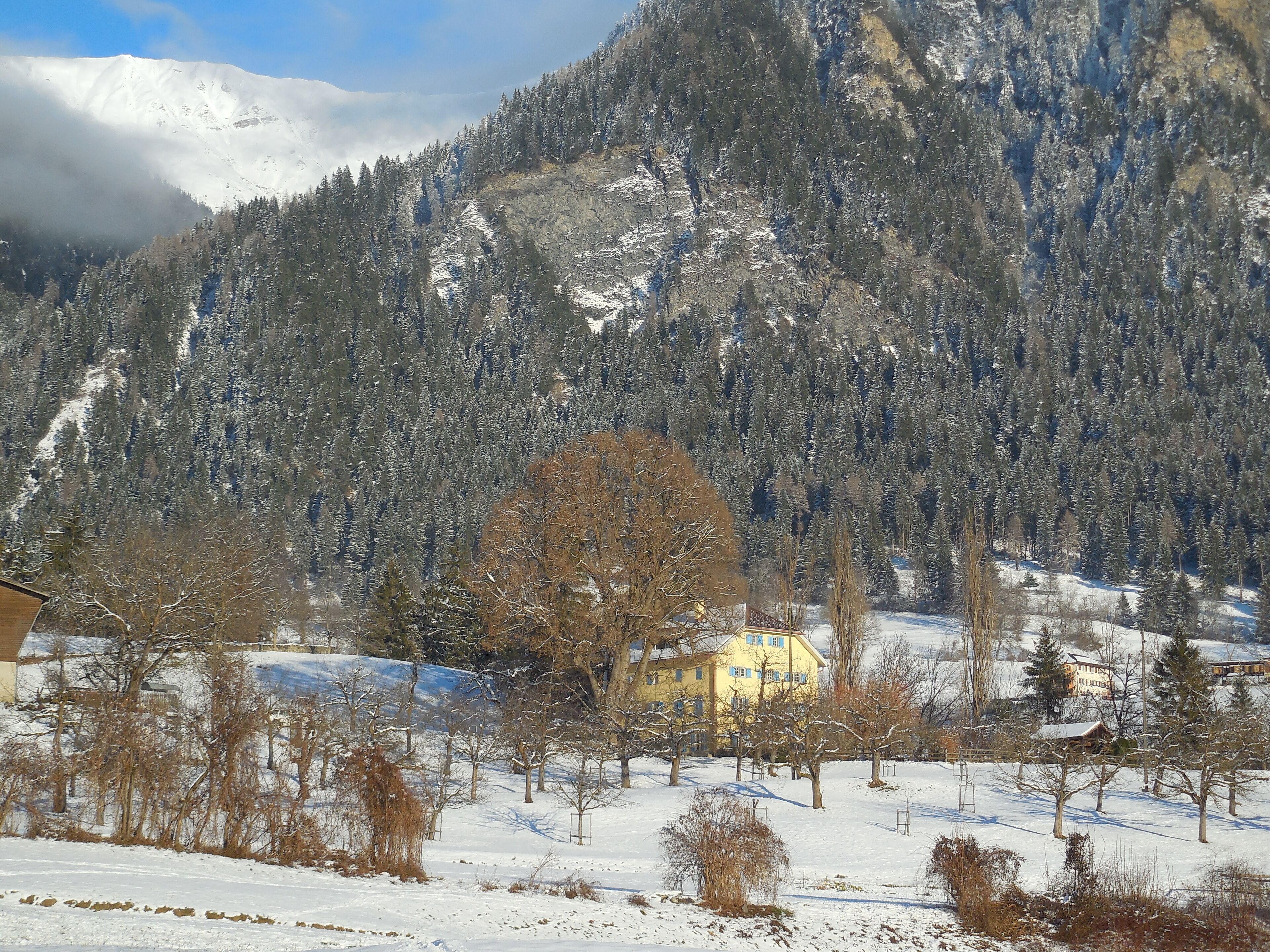 Schneebedeckte Landschaft mit einem Berg, einem gelben Gebäude und vereinzelten Bäumen.