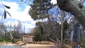 Unclassified image, 4 of 41, button - Romantic Tuscan villa with comfort, 3 double rooms, air conditioning, wifi, pool, sea, flush (Montescudaio)