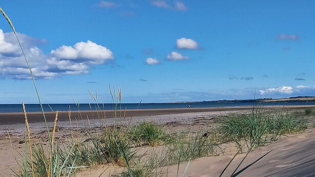A beach with sand dunes and sparse vegetation.