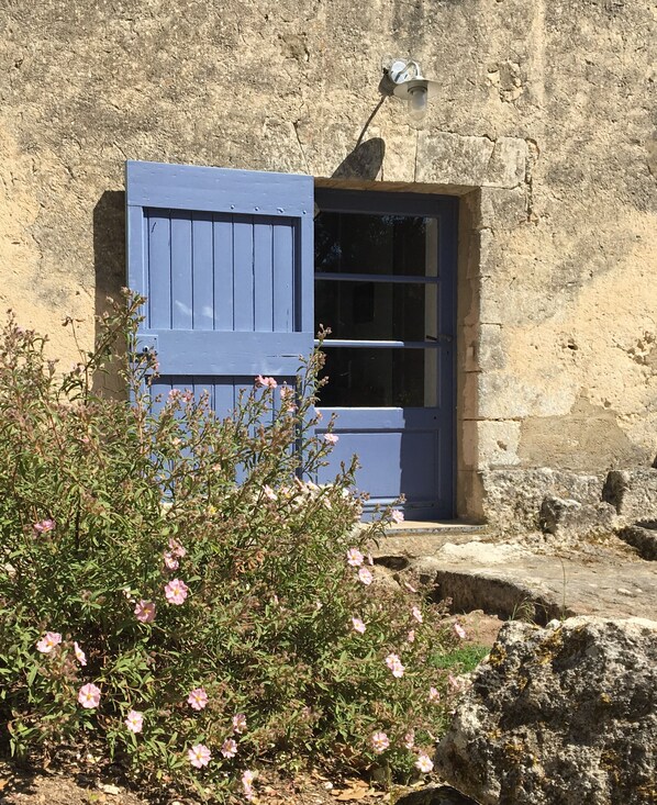 A rustic building with a blue door and a small window, surrounded by vegetation.