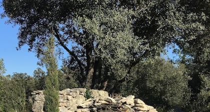 Charme, authentique Cabanon près du château du Marquis de Sade