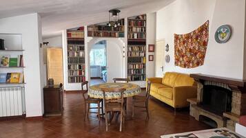 TV, caminetto, lettore DVD, libri