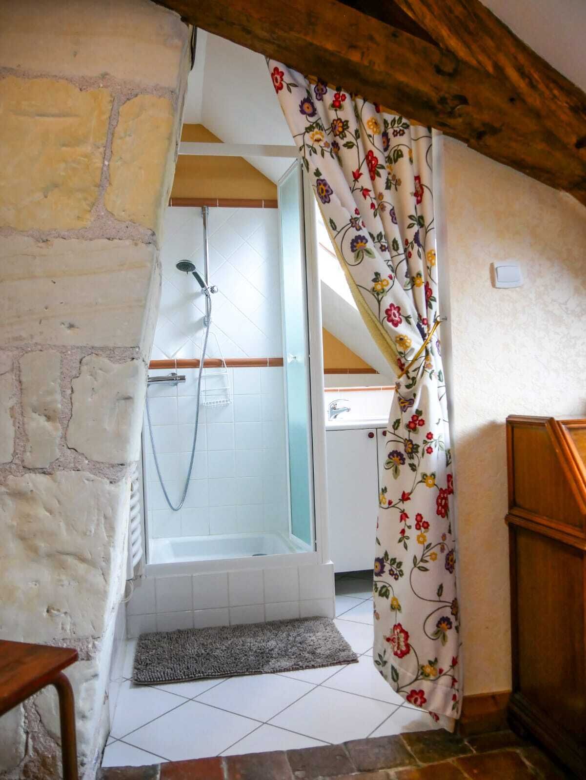 Bathtub, hair dryer, soap, toilet paper