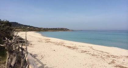 RENTAL CORSICA, T2, Haute-Corse, BALAGNE, CORBARA, 2 pers, Calm and rest assured