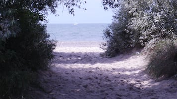 Camastros y toallas de playa