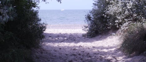 Sun loungers, beach towels