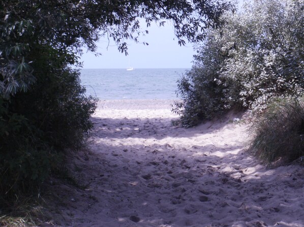 Sun-loungers, beach towels