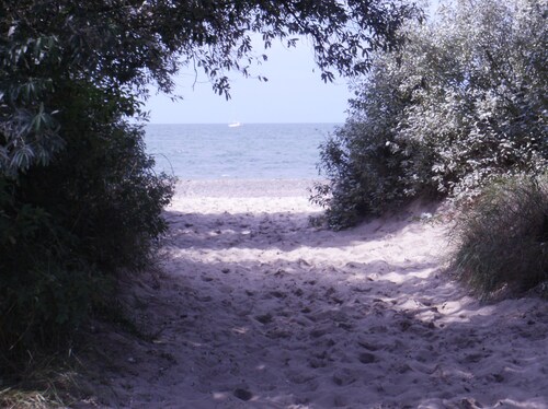 ***Fe-Haus, 4 Pers. Kamin, Internet, Tischtennis, Kinder u. Haustiere willkommen