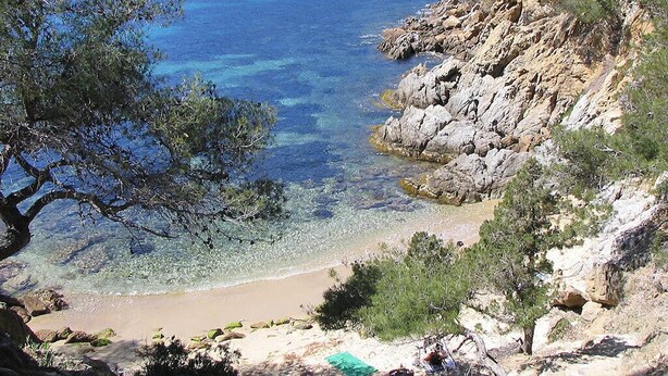 A coastal landscape with clear blue waters, rocky terrain, and sparse vegetation. - Beautiful sea view - Spacious and comfortable - Walking distance to the beach (Le Lavandou)