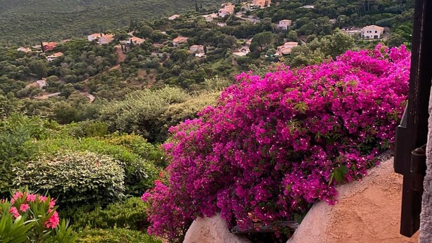 A view of a hillside village with houses and lush greenery. - Provençal villa with sea views & Mediterranean garden, beaches, Wi-Fi, A/C (La Croix-Valmer)