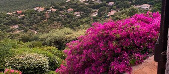 Provençal villa with stunning  view, close to beach, free Wifi