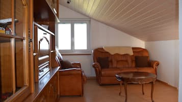 TV, DVD player, table tennis, books