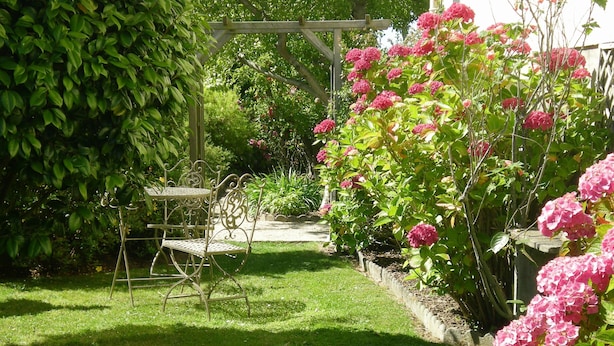 Een tuin met een pergola, een tafel en stoelen, en roze hortensiakweest.