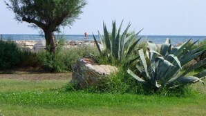 Un paysage côtier avec un grand rocher, des plantes d’agave et un arbre.