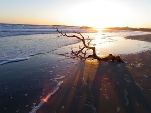 A beach scene with a fallen tree on the sand and the sun setting in the background.