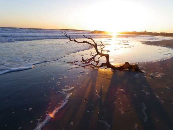 Playa en los alrededores 