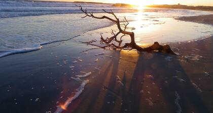P2 frente al mar a 20 m de la playa