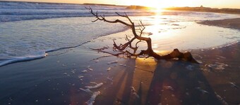 P2 mit Blick auf das Meer 20 m vom Strand entfernt