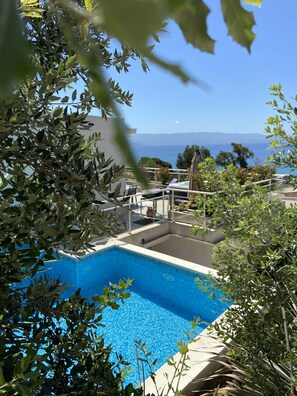 Pool - Magnificent villa on the roof Swimming pool and Jacuzzi with its full sea view. (Ajaccio)