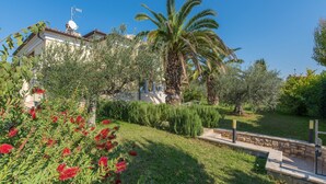 A residential property with a well-maintained garden, including a palm tree and various shrubs. - Dream villa with large swimming pool, 800m from the sea with 5 bedrooms 4 bathrooms (Porec)