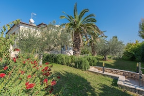 A residential property with a well-maintained garden, including a palm tree and various shrubs.