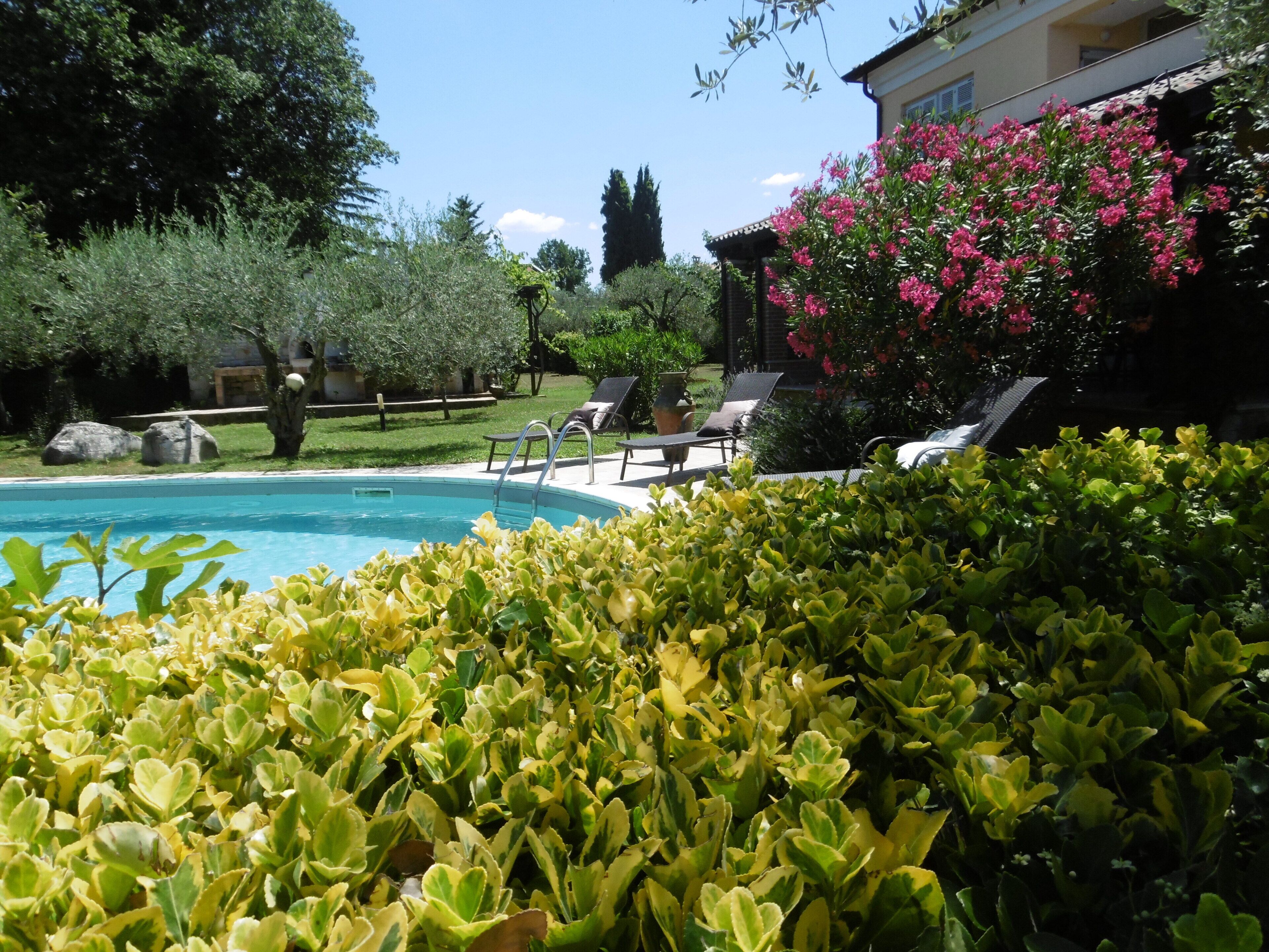 A swimming pool surrounded by lush greenery and a building with pink flowering plants.