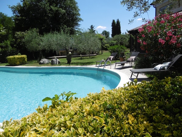 A swimming pool with lounge chairs and a well-maintained garden.