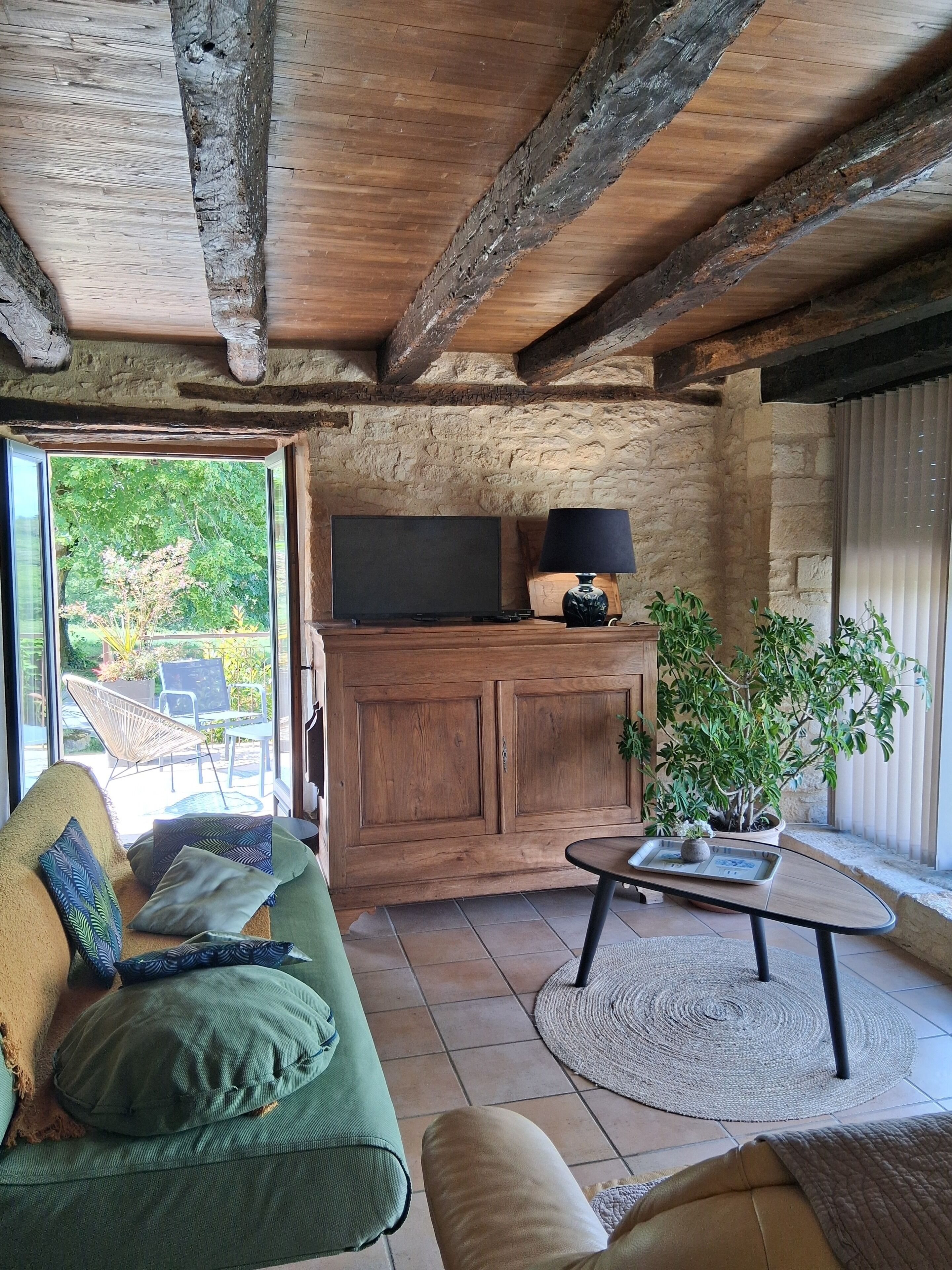 Fernseher, Bücher